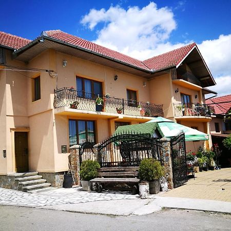 Pensiunea Remus Otel Novaci-Străini Dış mekan fotoğraf