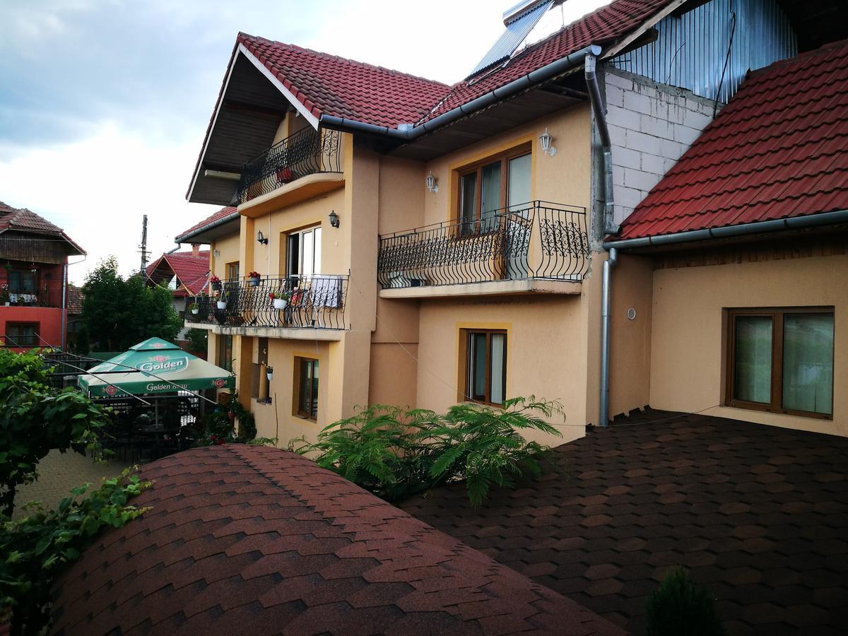 Pensiunea Remus Otel Novaci-Străini Dış mekan fotoğraf