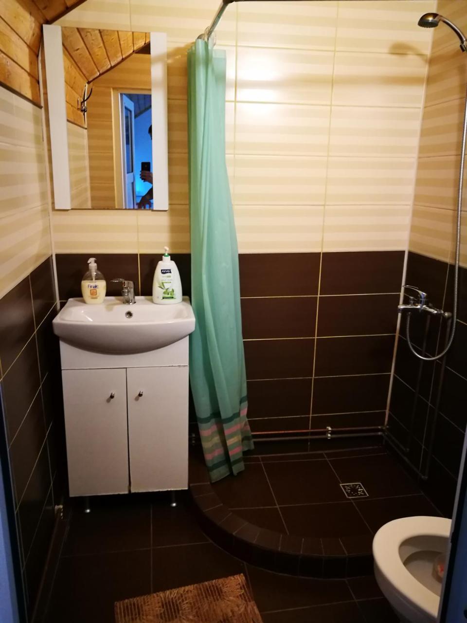 Pensiunea Remus Otel Novaci-Străini Dış mekan fotoğraf