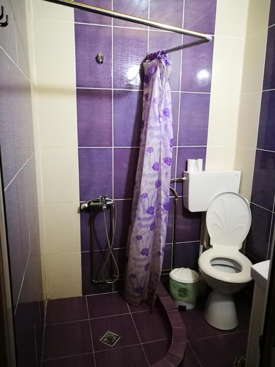 Pensiunea Remus Otel Novaci-Străini Dış mekan fotoğraf
