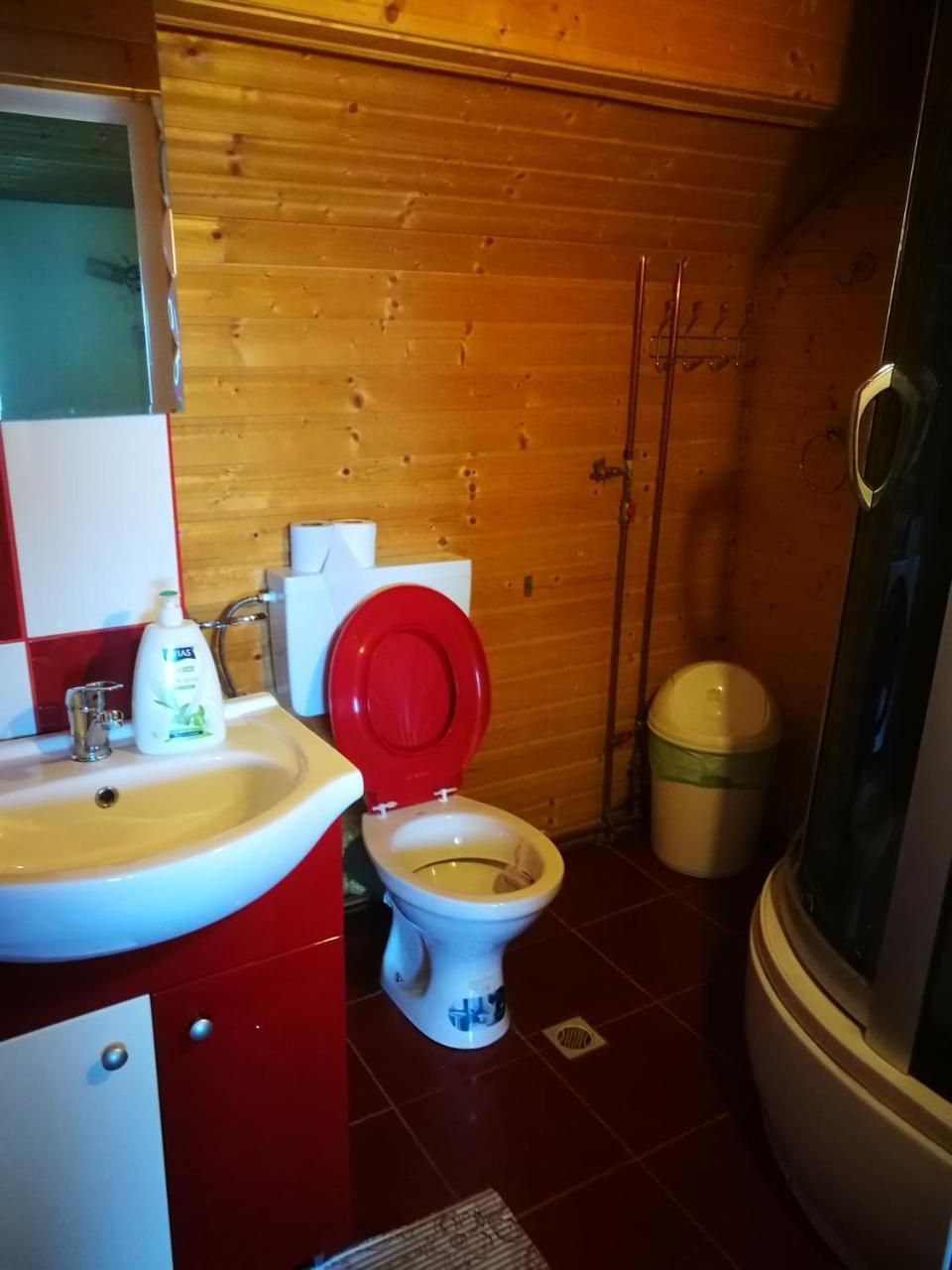 Pensiunea Remus Otel Novaci-Străini Dış mekan fotoğraf