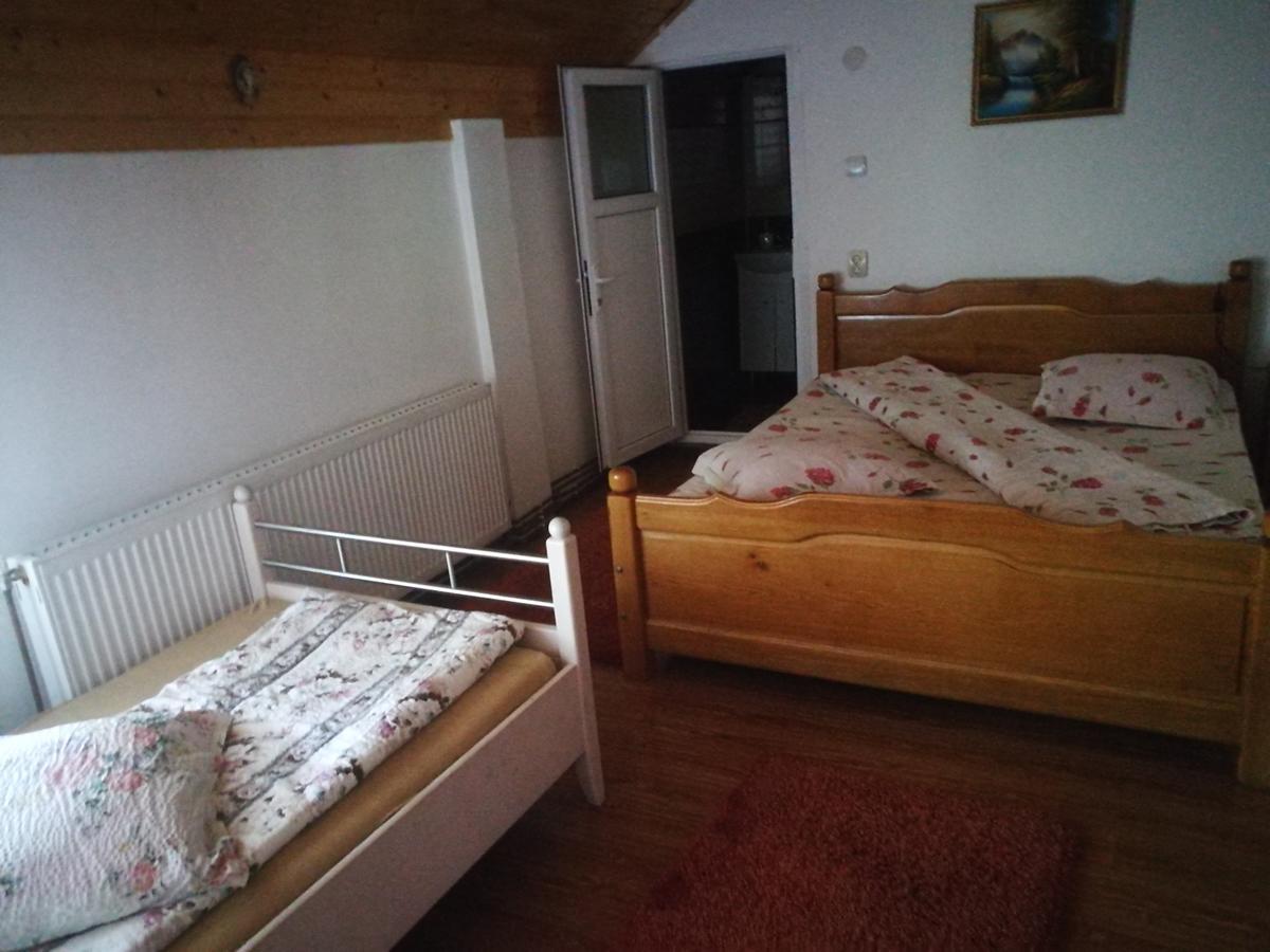 Pensiunea Remus Otel Novaci-Străini Dış mekan fotoğraf